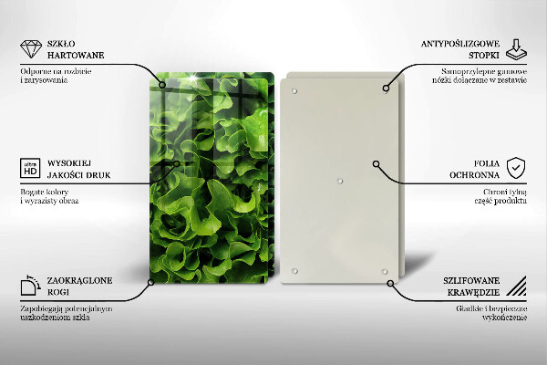 Glas Ceranfeldabdeckung Grüne Salatblätter