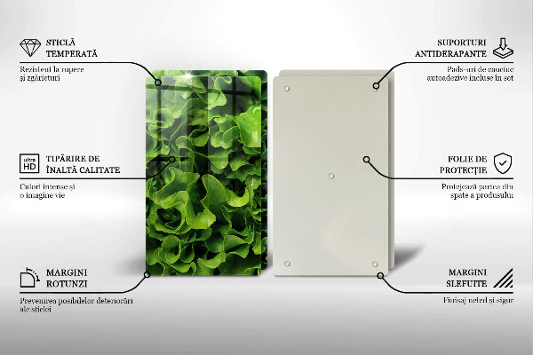 Glas Ceranfeldabdeckung Grüne Salatblätter