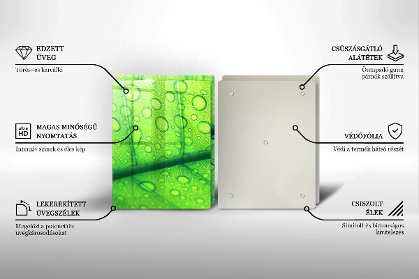 Glas Ceranfeldabdeckung Nahaufnahme eines Blattes