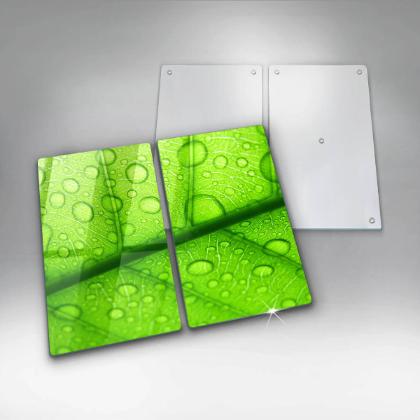 Glas Ceranfeldabdeckung Nahaufnahme eines Blattes