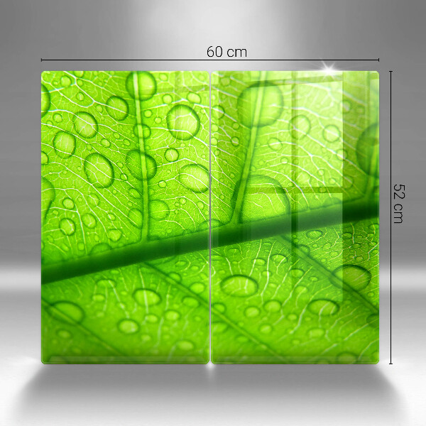Glas Ceranfeldabdeckung Nahaufnahme eines Blattes