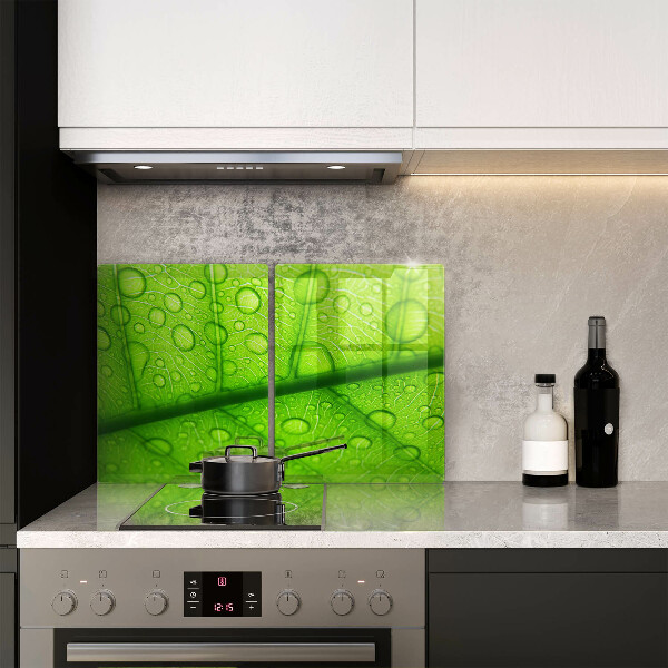 Glas Ceranfeldabdeckung Nahaufnahme eines Blattes