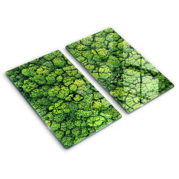 Glas Herdabdeckplatte Naturmoospflanze
