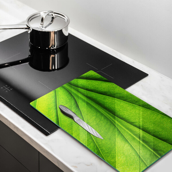 Glas Ceranfeldabdeckung Spritzschutz Naturaderblatt