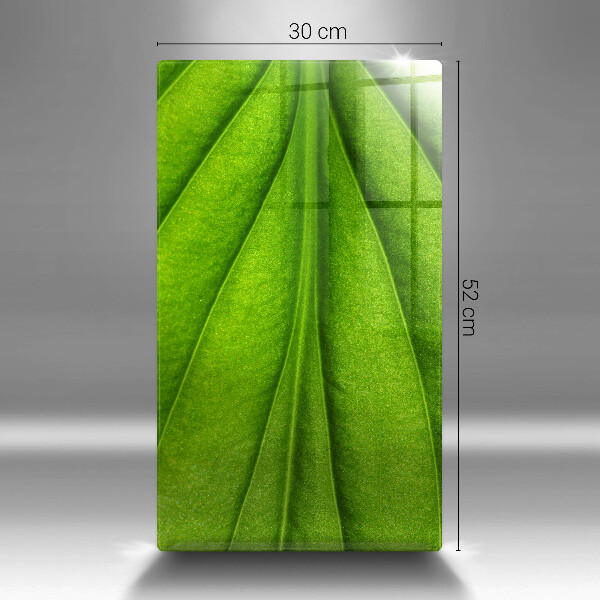 Glas Ceranfeldabdeckung Spritzschutz Naturaderblatt