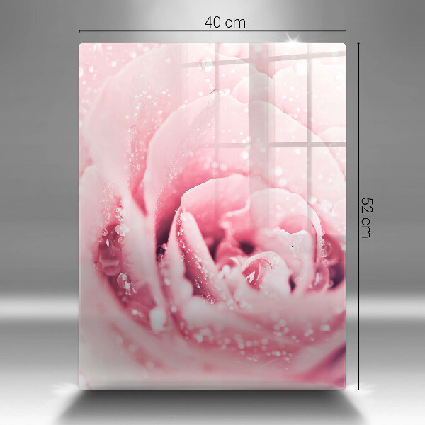 Glas Ceranfeldabdeckung Spritzschutz Tautropfen und Rosenblüte