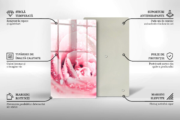 Glas Ceranfeldabdeckung Spritzschutz Tautropfen und Rosenblüte