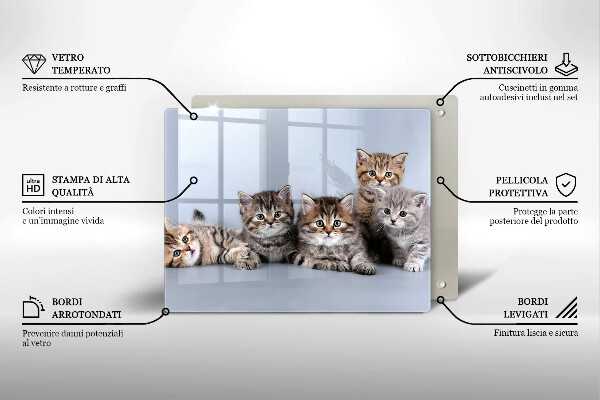 Glas Herdabdeckplatte Süße kleine Kätzchen