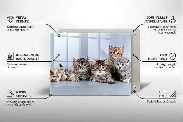Glas Herdabdeckplatte Süße kleine Kätzchen