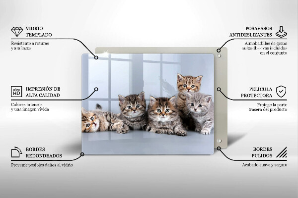 Glas Herdabdeckplatte Süße kleine Kätzchen
