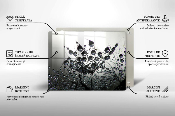 Glas Herdabdeckplatte Löwenzahn und Tau