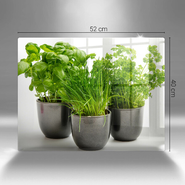 Glas Herdabdeckplatte Töpfe mit Kräutern