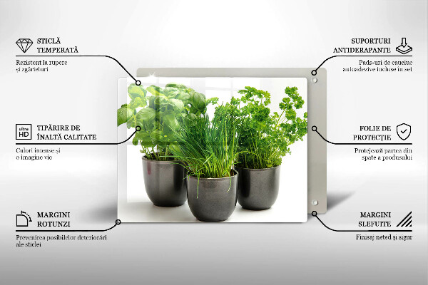 Glas Herdabdeckplatte Töpfe mit Kräutern