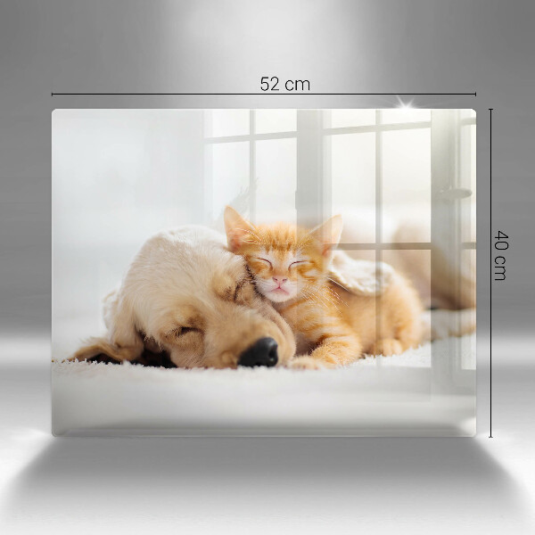 Glas Herdabdeckplatte Tiere Hund und Katze