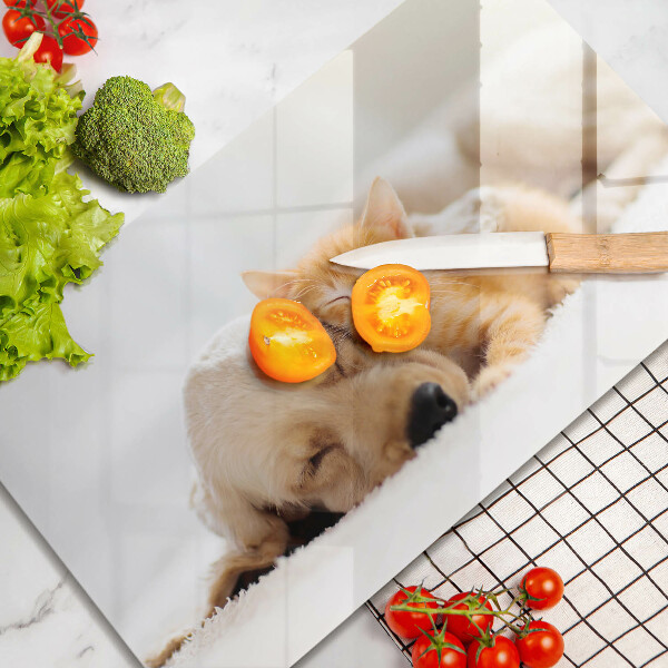 Glas Herdabdeckplatte Tiere Hund und Katze