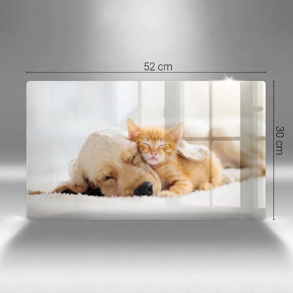 Glas Herdabdeckplatte Tiere Hund und Katze