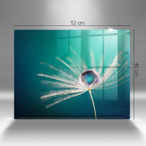 Glas Herdabdeckplatte Tau auf einem Löwenzahn