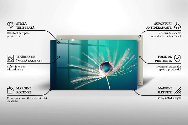 Glas Herdabdeckplatte Tau auf einem Löwenzahn