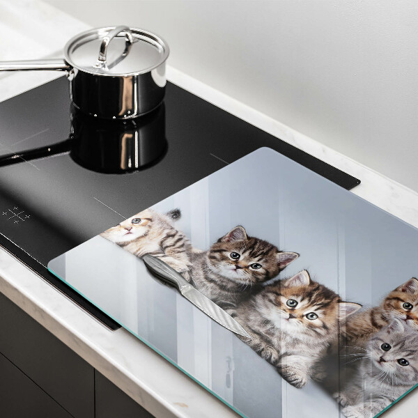 Glas Herdabdeckplatte Süße kleine Kätzchen