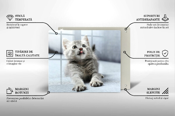 Glas Herdabdeckplatte Kleines süßes Kätzchen
