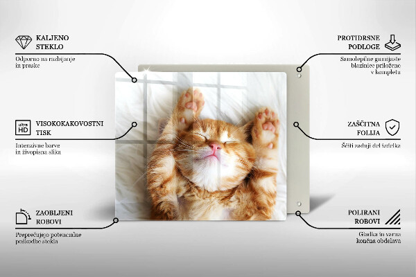 Glas Herdabdeckplatte Kleines süßes Kätzchen