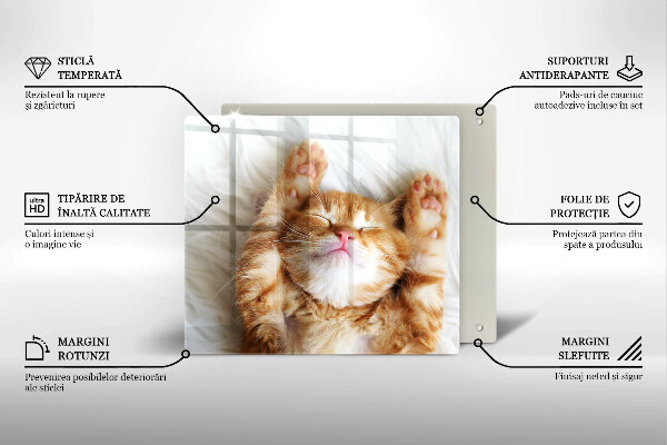 Glas Herdabdeckplatte Kleines süßes Kätzchen