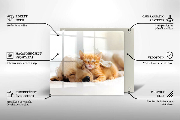 Glas Ceranfeldabdeckung Tiere Hund und Katze