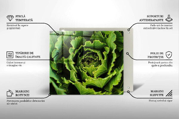Glas Herdabdeckplatte Salatblätter essen