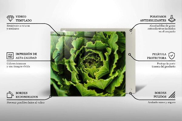 Glas Herdabdeckplatte Salatblätter essen