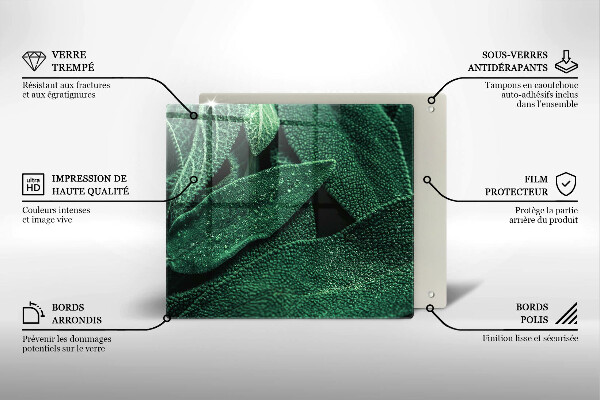 Glas Herdabdeckplatte Die Blätter der Pflanze
