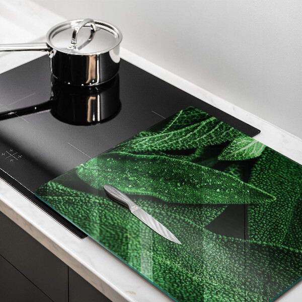 Glas Herdabdeckplatte Die Blätter der Pflanze