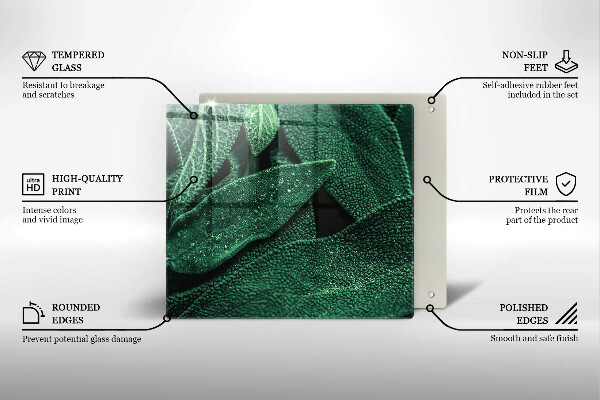 Glas Herdabdeckplatte Die Blätter der Pflanze