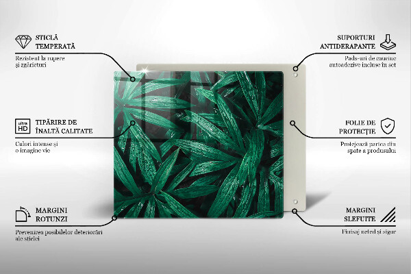 Glas Ceranfeldabdeckung Pflanzenblätter