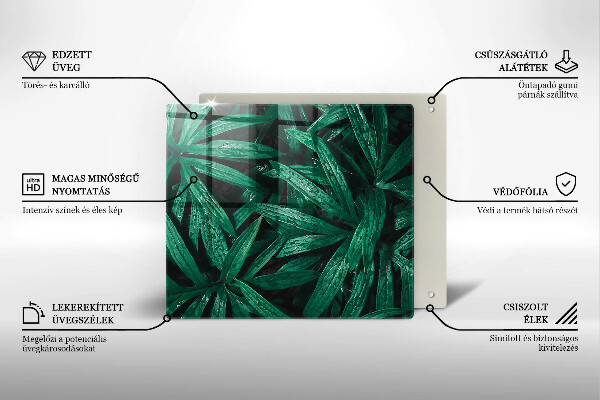 Glas Ceranfeldabdeckung Pflanzenblätter
