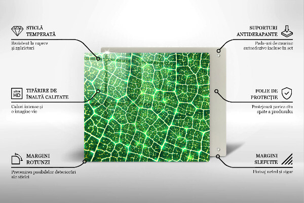 Glas Ceranfeldabdeckung Blattstruktur