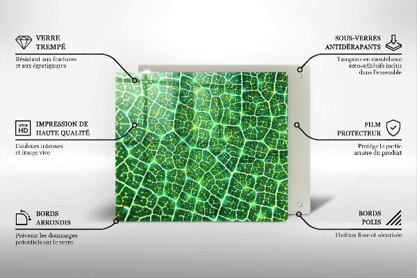 Glas Ceranfeldabdeckung Blattstruktur