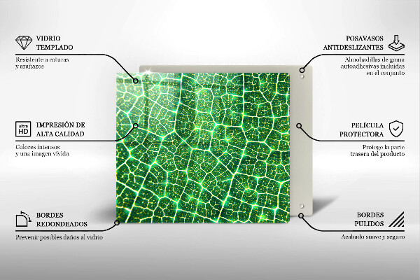 Glas Ceranfeldabdeckung Blattstruktur