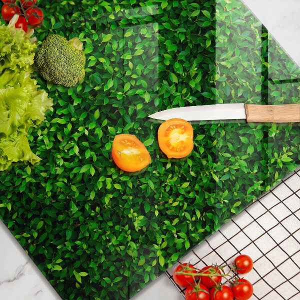 Glas Ceranfeldabdeckung Pflanze mit kleinen Blättern