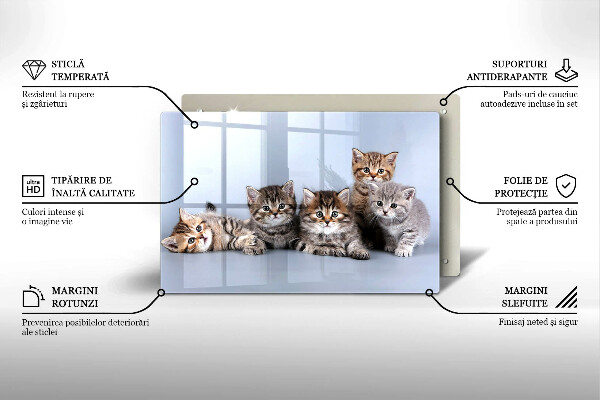 Glas Herdabdeckplatte Süße kleine Kätzchen