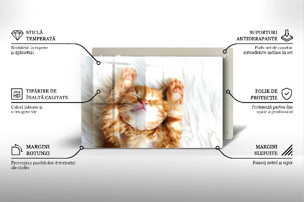 Glas Herdabdeckplatte Kleines süßes Kätzchen