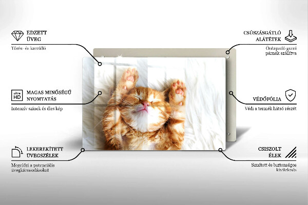 Glas Herdabdeckplatte Kleines süßes Kätzchen