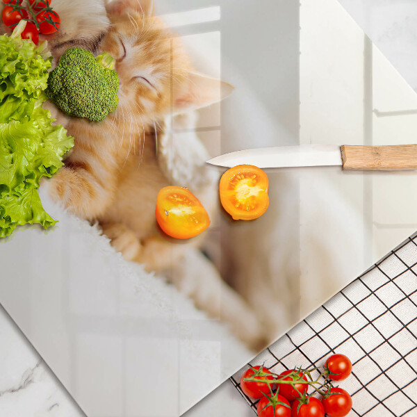 Glas Ceranfeldabdeckung Tiere Hund und Katze