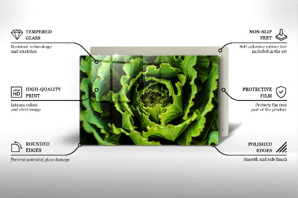 Glas Herdabdeckplatte Salatblätter essen