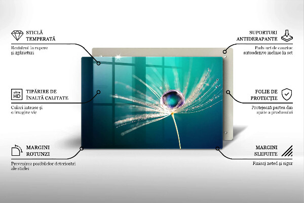 Glas Ceranfeldabdeckung Tau auf einem Löwenzahn