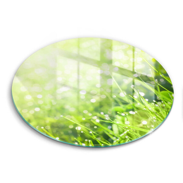 Glas Herdabdeckplatte Natur - Gras und Tau