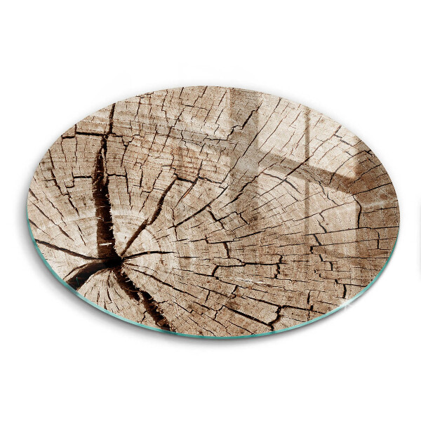 Glas Ceranfeldabdeckung Querschnitt eines Baumes
