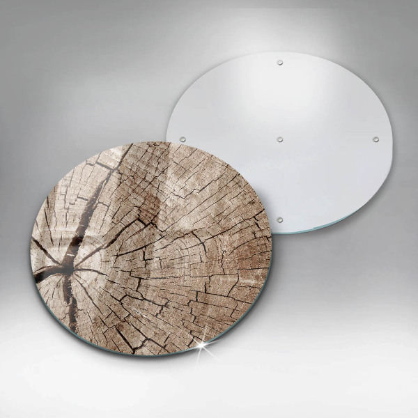 Glas Ceranfeldabdeckung Querschnitt eines Baumes