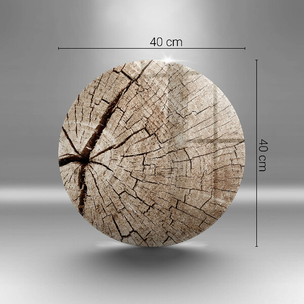 Glas Ceranfeldabdeckung Querschnitt eines Baumes