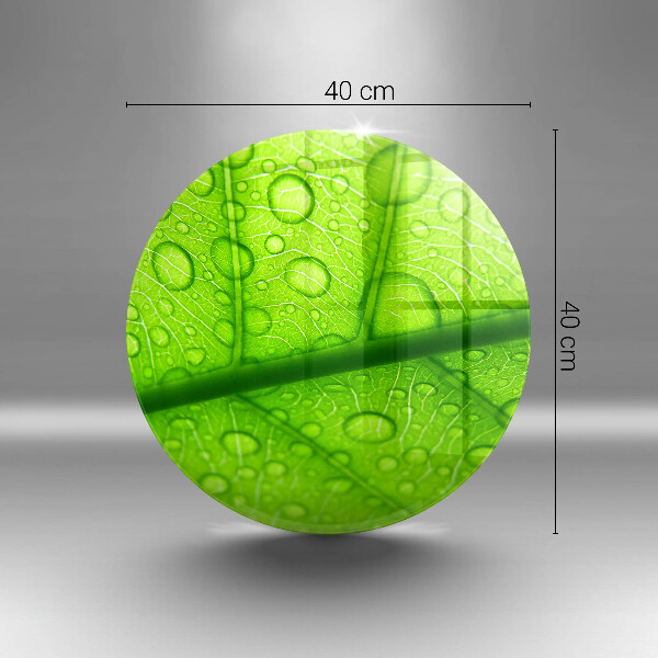 Glas Herdabdeckplatte Nahaufnahme eines Blattes