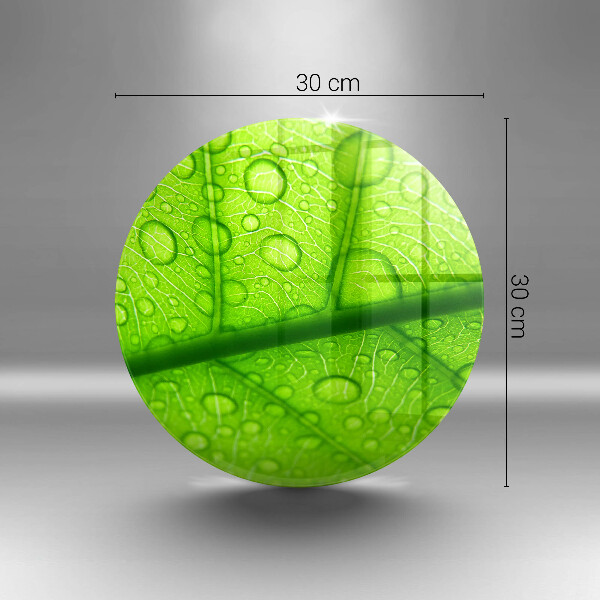 Glas Herdabdeckplatte Nahaufnahme eines Blattes